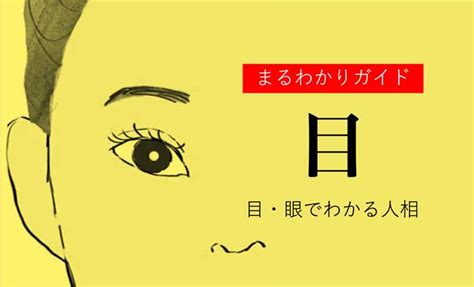 四白眼男|目(眼)でわかる人相！目の形や特徴ごとの性格【観相学】